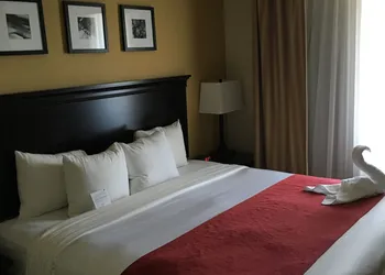 Country Inn & Suites by Radisson, Port Orange-Daytona, FL hotel thumbnail 6
