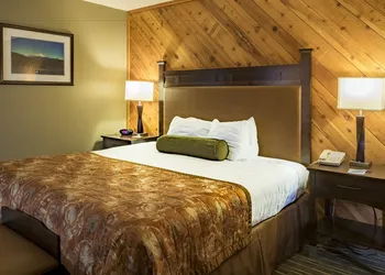 Best Western Plus Tree House hotel thumbnail 6
