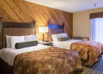 Best Western Plus Tree House hotel thumbnail 8