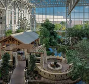 Gaylord Texan Resort & Convention Center hotel detail image 3
