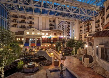 Gaylord Texan Resort & Convention Center hotel thumbnail 5