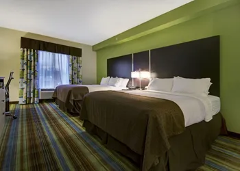 Holiday Inn Christiansburg Blacksburg by IHG hotel thumbnail 8