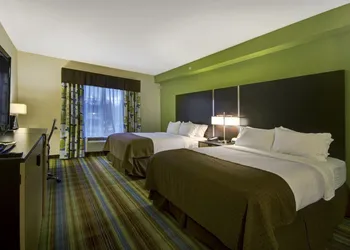 Holiday Inn Christiansburg Blacksburg by IHG hotel thumbnail 4