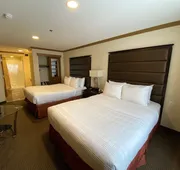 Camrose Resort & Casino hotel detail image 4