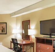 DoubleTree by Hilton Holland hotel detail image 7