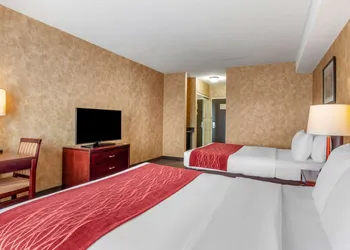 Comfort Inn Sturgeon Falls hotel thumbnail 8