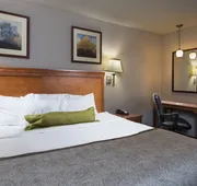 Candlewood Suites Macon by IHG hotel detail image 7
