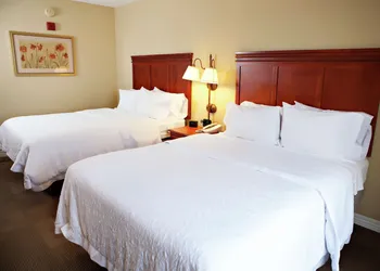 Hampton Inn Martin hotel thumbnail 7