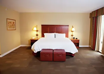 Hampton Inn Martin hotel thumbnail 8