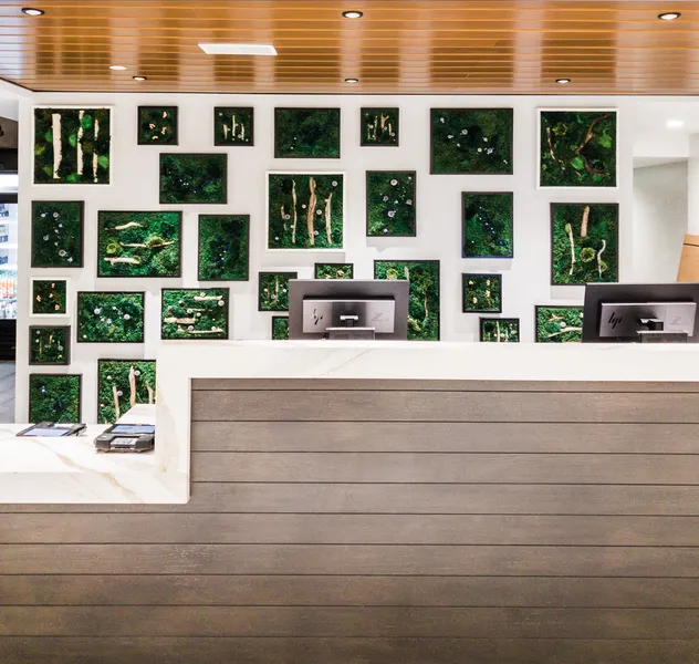 Hotel Indigo Rochester – Mayo Clinic Area by IHG hotel detail image 2