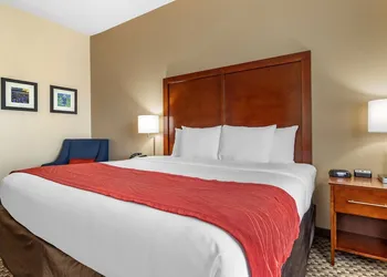 Comfort Inn & Suites Navasota hotel thumbnail 7