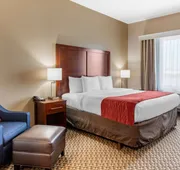 Comfort Inn & Suites Navasota hotel detail image 5