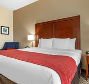 Comfort Inn & Suites Navasota hotel detail image 7