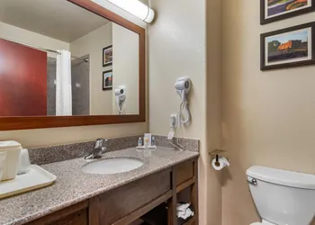 Comfort Inn & Suites Navasota hotel thumbnail 8