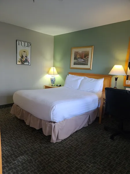 Tulip Inn hotel detail image 6