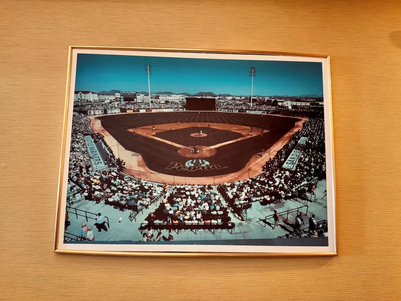 Comfort Suites Peoria Sports Complex hotel detail image 2