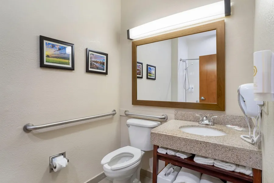 Comfort Suites Brenham hotel detail image 6