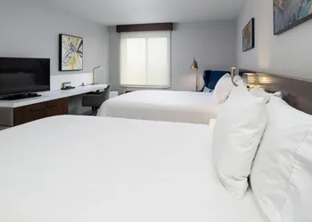 Hilton Garden Inn Baton Rouge Airport hotel thumbnail 8