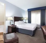 Holiday Inn Express Hotel & Suites New Iberia - Avery Island by IHG hotel detail image 4