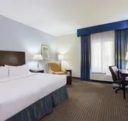Holiday Inn Express Hotel & Suites New Iberia - Avery Island by IHG hotel detail image 5