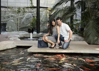 The Parkside Hotel & Spa hotel thumbnail 2