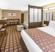 Microtel Inn & Suites by Wyndham Ozark hotel detail image 7