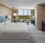 Sheraton Greensboro at Four Seasons hotel detail image 7