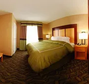 Comfort Suites Flowood - Jackson Airport (must meet transportation requirement) hotel detail image 7