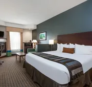 Wingate by Wyndham High Point/Greensboro/Airport South hotel detail image 4
