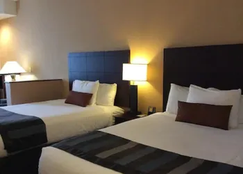 Wingate by Wyndham High Point/Greensboro/Airport South hotel thumbnail 8