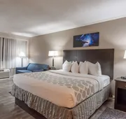 SureStay Plus Hotel by Best Western Lehigh Valley hotel detail image 5