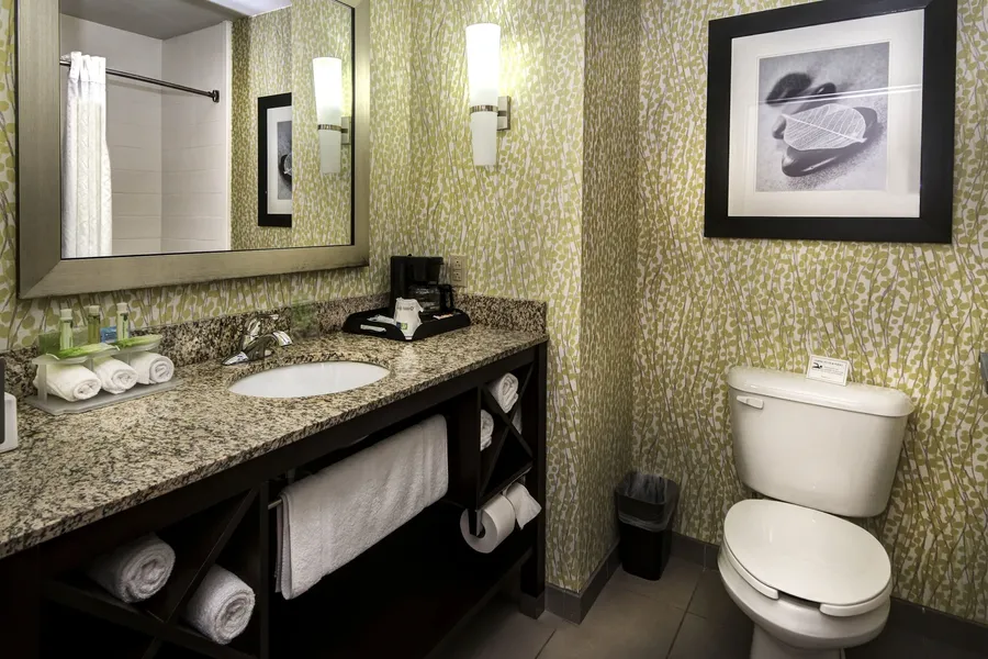 Holiday Inn Express & Suites Conway by IHG hotel detail image 6