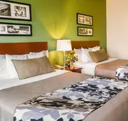 Sleep Inn & Suites Gonzales near Palmetto State Park hotel detail image 7