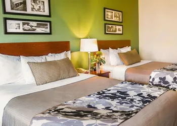 Sleep Inn & Suites Gonzales near Palmetto State Park hotel thumbnail 7