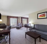 Wingate by Wyndham West Monroe hotel detail image 7
