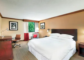 Four Points by Sheraton Asheville Downtown hotel thumbnail 4