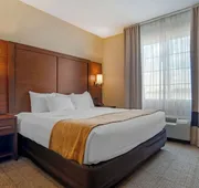 Comfort Suites Alexandria North hotel detail image 5