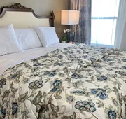 Lighthouse Inn At Aransas Bay hotel detail image 3