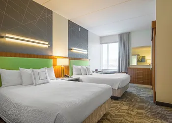 SpringHill Suites by Marriott Tampa North/I 75 Tampa Palms hotel thumbnail 3