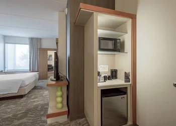 SpringHill Suites by Marriott Tampa North/I 75 Tampa Palms hotel thumbnail 4
