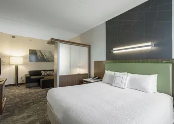 SpringHill Suites by Marriott Tampa North/I 75 Tampa Palms hotel thumbnail 7