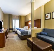 Comfort Suites Mattoon East hotel detail image 7