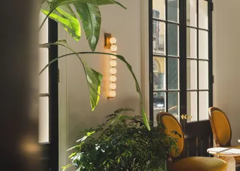Bourbon Orleans Hotel hotel thumbnail 7