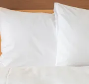 Crowne Plaza Knoxville Downtown University by IHG hotel detail image 4