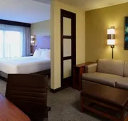 Hyatt Place Dallas/Las Colinas hotel detail image 3