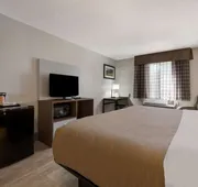 Quality Inn University Area hotel detail image 7
