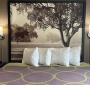 Super 8 by Wyndham Grayville hotel detail image 5
