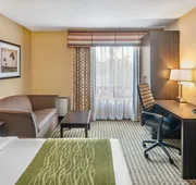 Comfort Inn Chatham hotel detail image 7