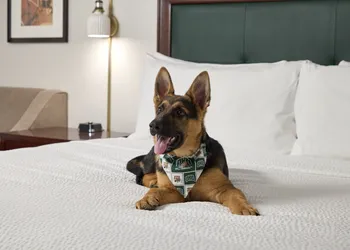 Ohio University Inn & Conference Center hotel thumbnail 4