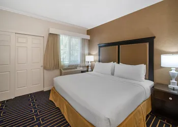 Best Western Plus Palm Court Hotel hotel thumbnail 7